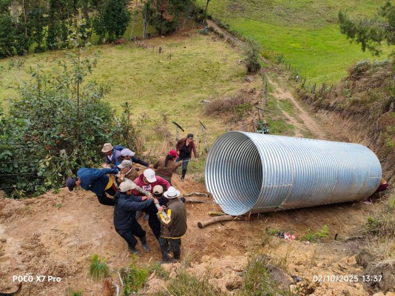 Impulsando así la producción agrícola y ganadera